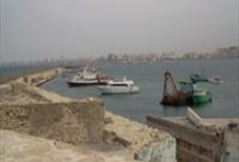 Alexandria City Discovery